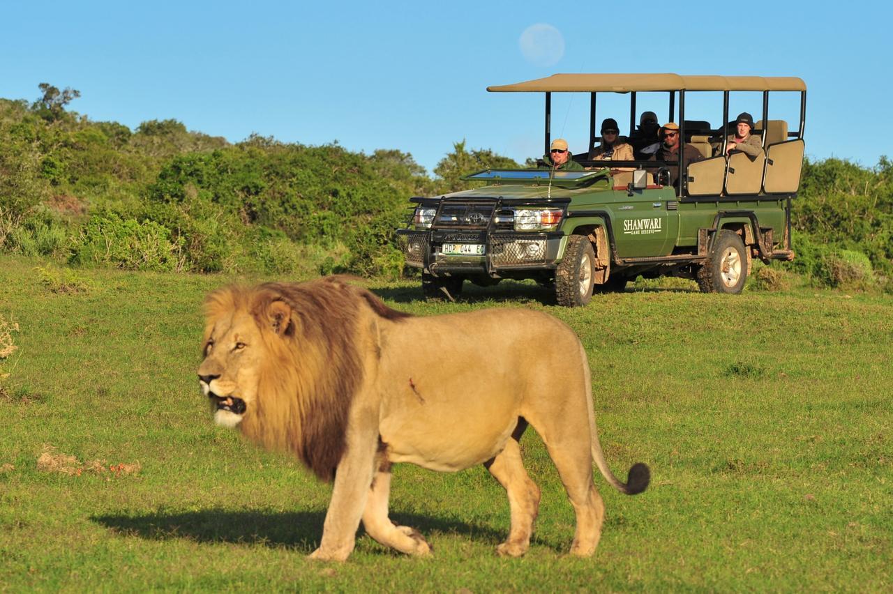 Shamwari Eagles Crag Vila Port Elizabeth Exterior foto