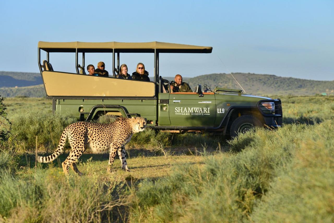 Shamwari Eagles Crag Vila Port Elizabeth Exterior foto